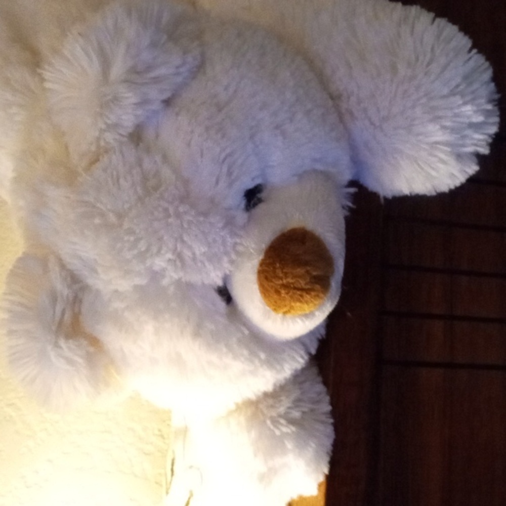 Rare Icicle Ty Classic White Plush Polar Teddy Bear 14" 2005